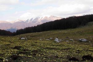 campo rotondo di pescasseroli