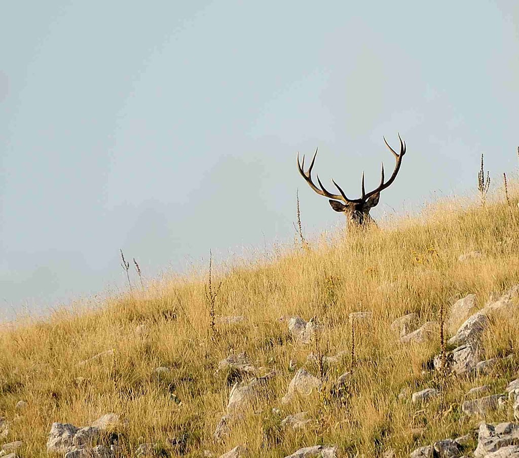 Escursione sul Monte Mattone di Villetta Barrea