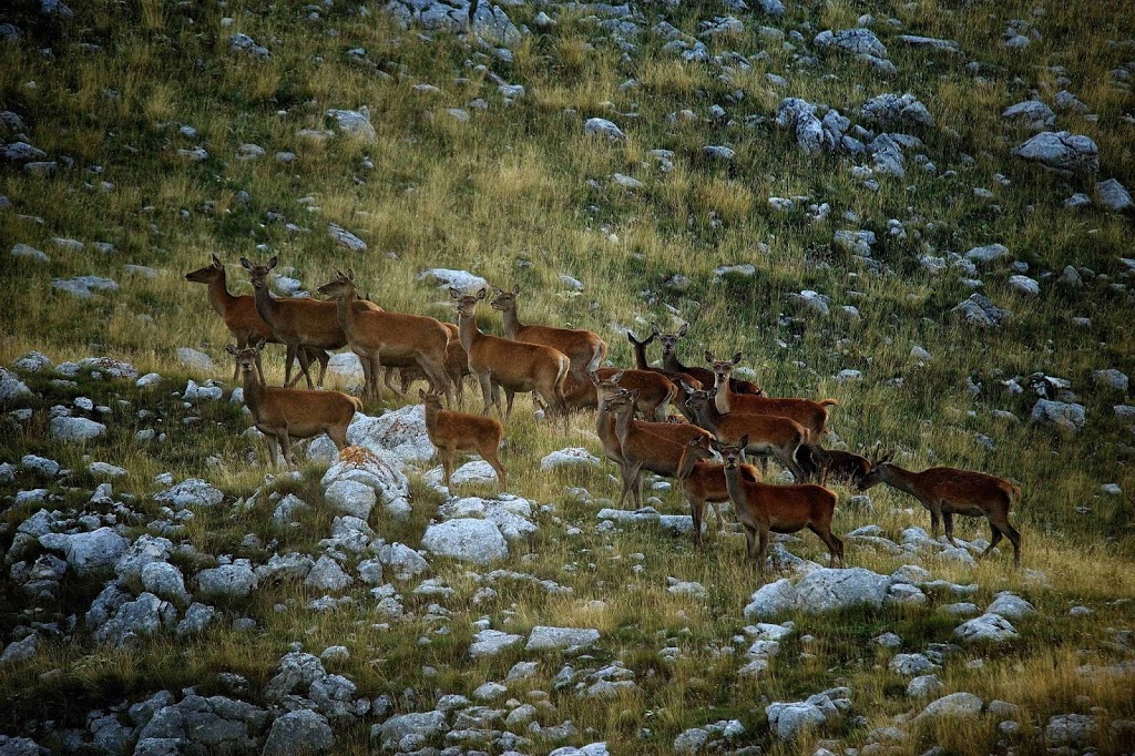 Escursione sul Monte Mattone di Villetta Barrea