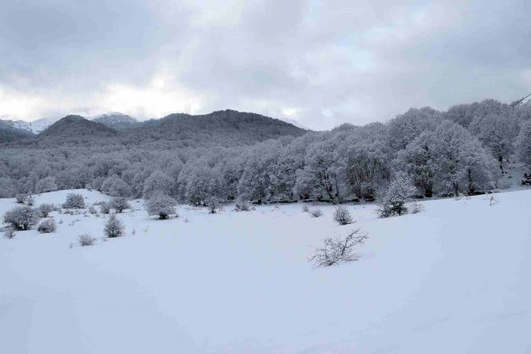 Escursioni con Ciaspole nel Parco Nazionale d'Abruzzo - Percorsi Selvaggi