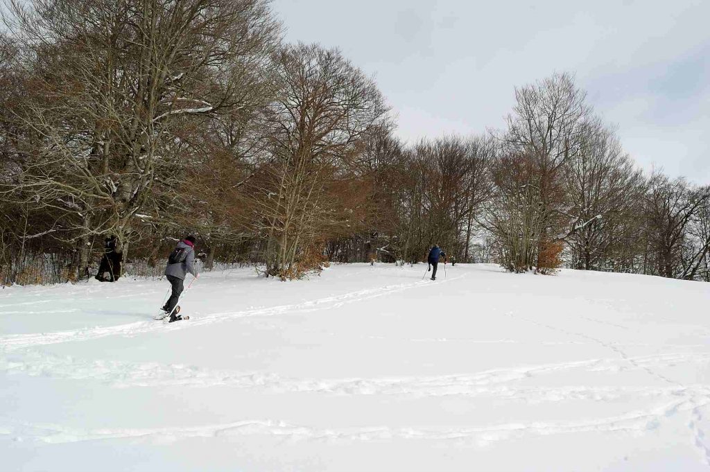 escursioni con ciaspole nel parco d'abruzzo